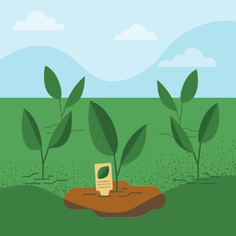 Meet your Posher, Chloe